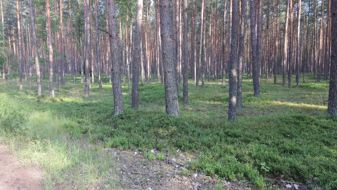 Ferienwohnung Bukowa Ostoja Nakielno Exterior foto