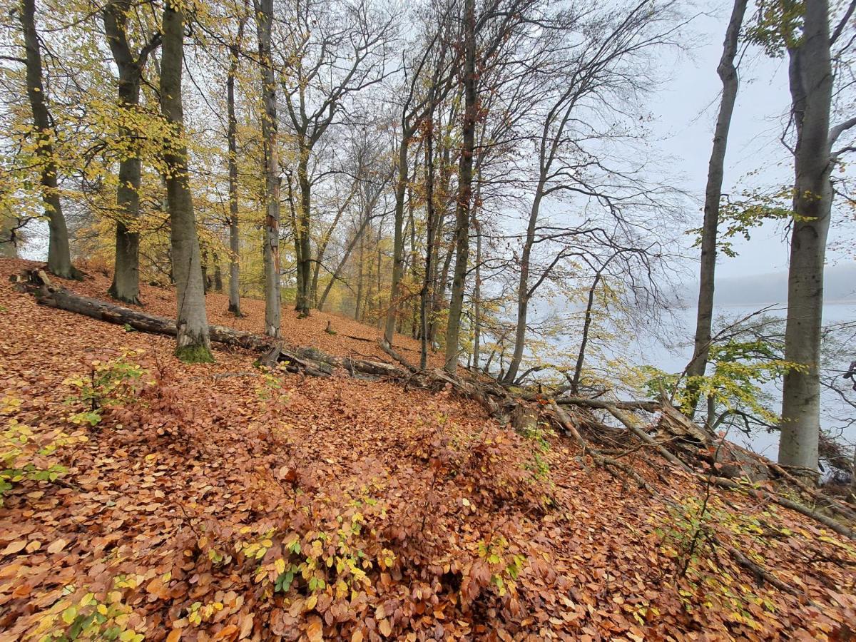 Ferienwohnung Bukowa Ostoja Nakielno Exterior foto